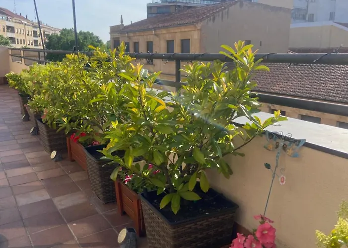 Apartmán Atico Pta Zamora *